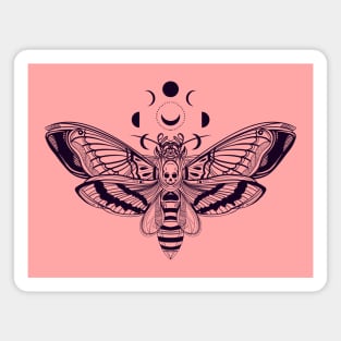 MOON AND MOTH Magnet